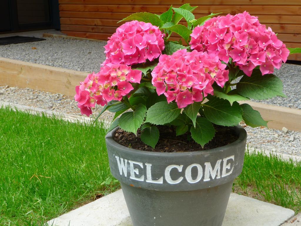 Bed and Breakfast Le Jardin Aux Oiseaux Ferel Номер фото